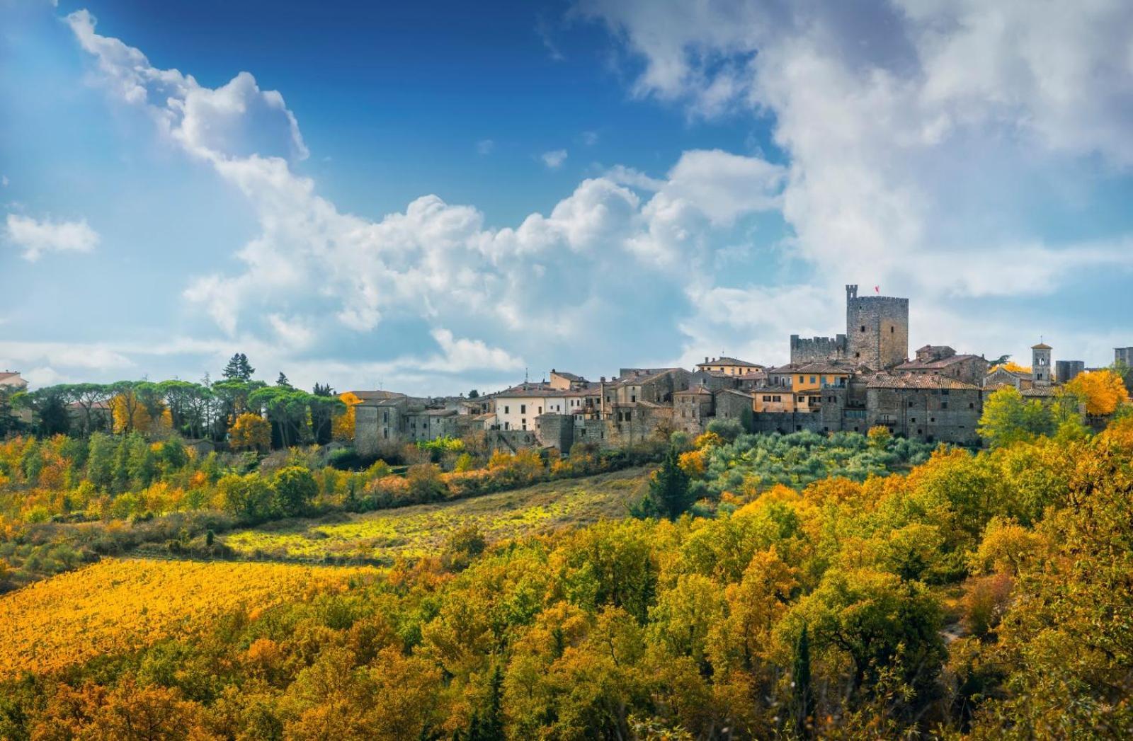 Al Poggio Della Capannina Di Castel Leilighet Castellina in Chianti Eksteriør bilde